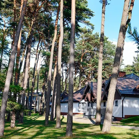 Forest Family - Caloroczne Ustka