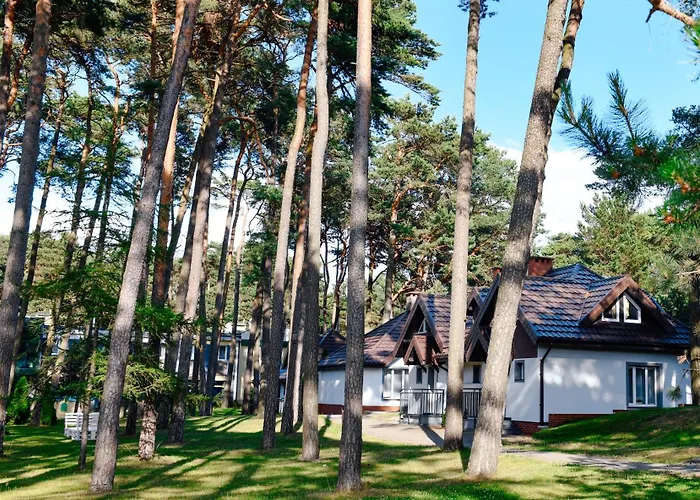 Forest Family - Caloroczne 우스트카