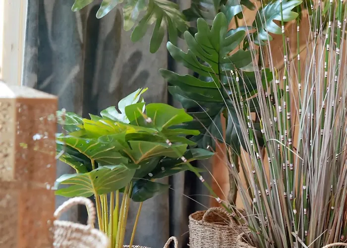 Forest Family - Caloroczne * 우스트카